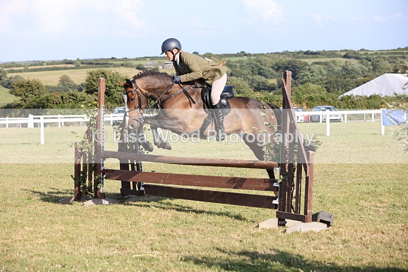 JPP_3152 - Class 21: Working Hunter 80cm