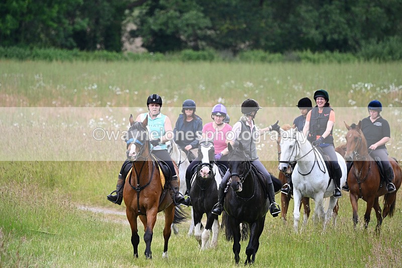 WJ6_8356 - Camera 1 Gallops