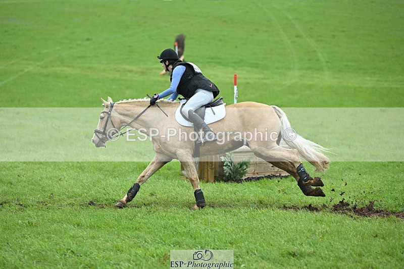 250419-130018-10730 - 523-Kate.Hicks-SWALLOWCROFT.STARDUST