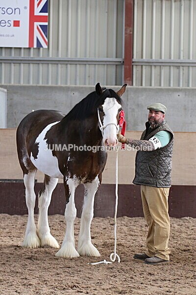 SIAL0395 - Indoor Classes