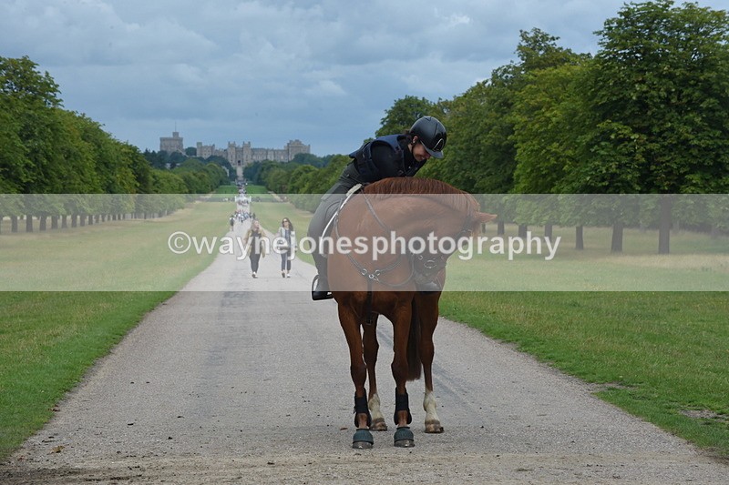 TT3_9811 - Time at Crossing 11:28 to 13:16