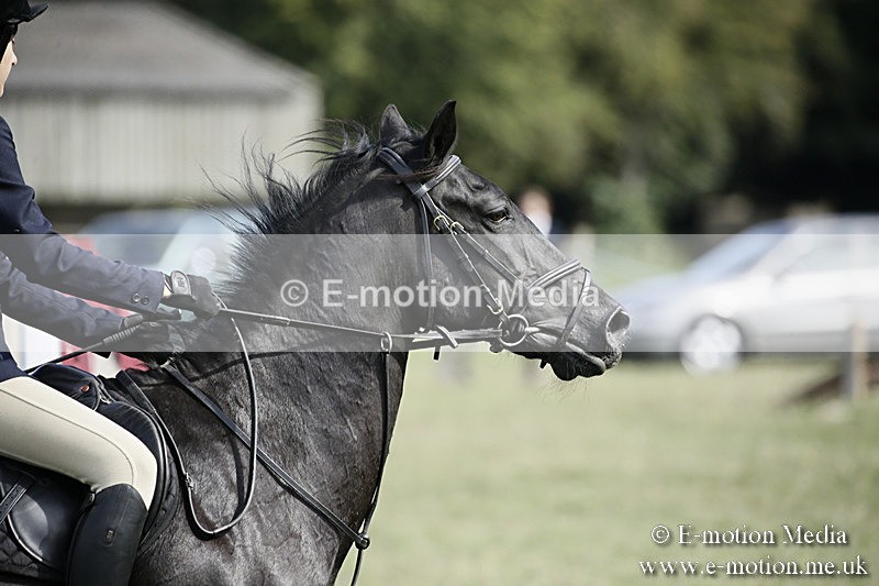 BVR090918 738 - BVRC Dressage and Show Jumping 09/09/18