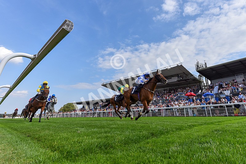 240825-Race 5-This Years Love-0338 - Race 5