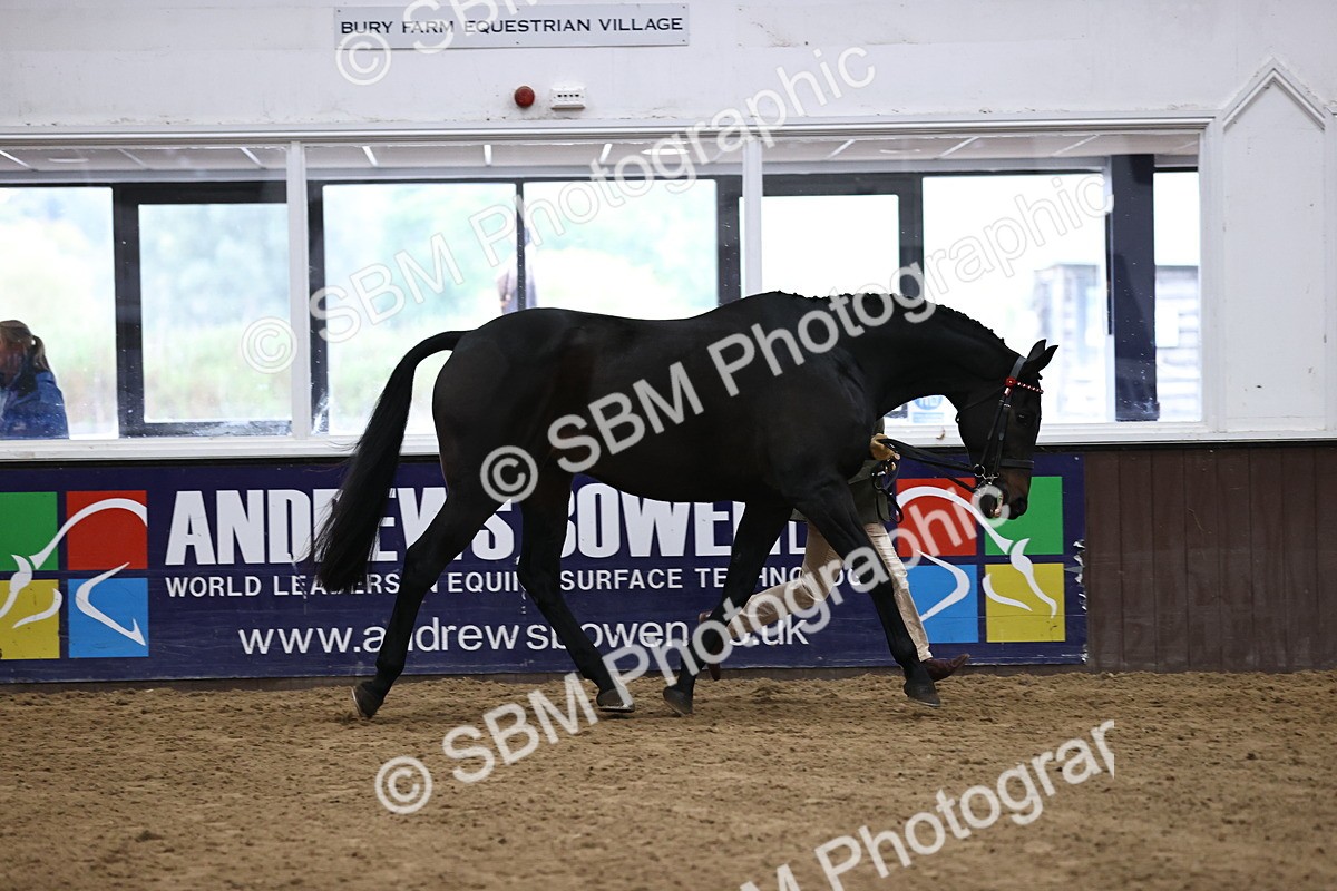 SBM_5817 - Class 4 - ROR Open In Hand