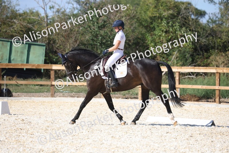 20260905-1622 - Class 5 - Novice 2