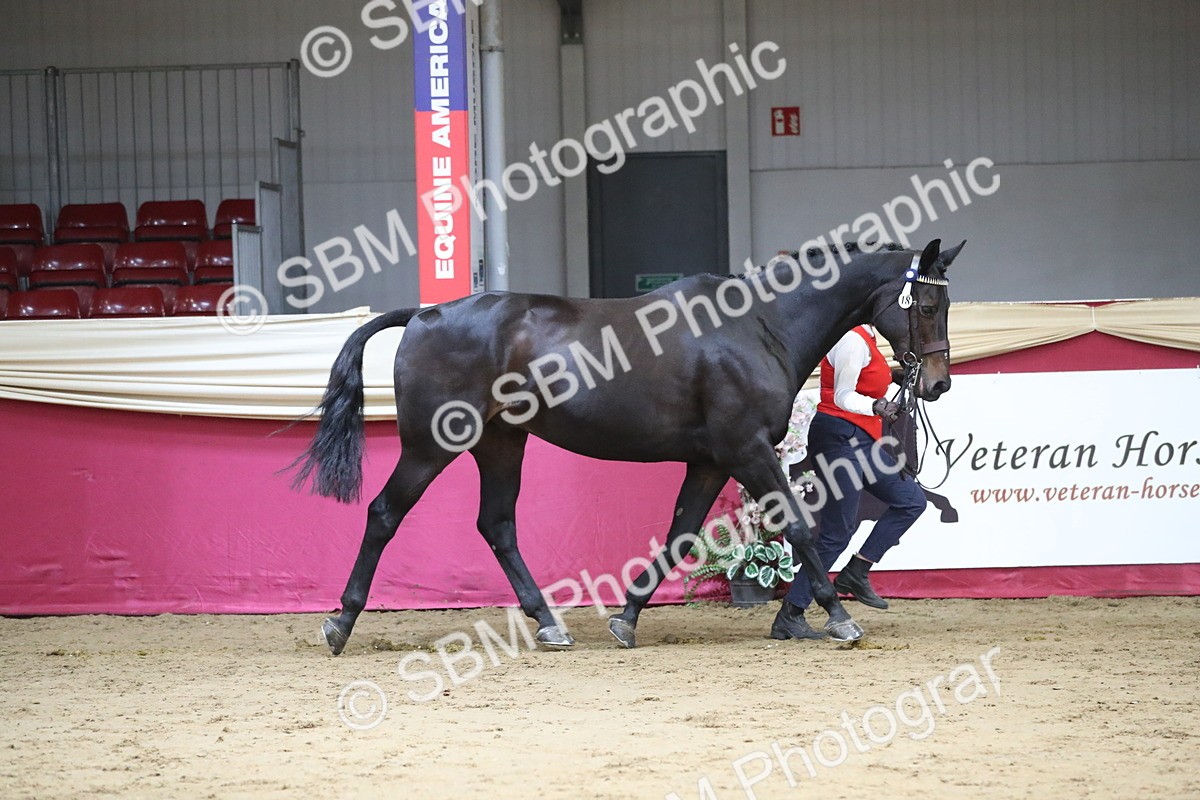 SBM_06349 - Class 9R Regional- IH Pre Vet