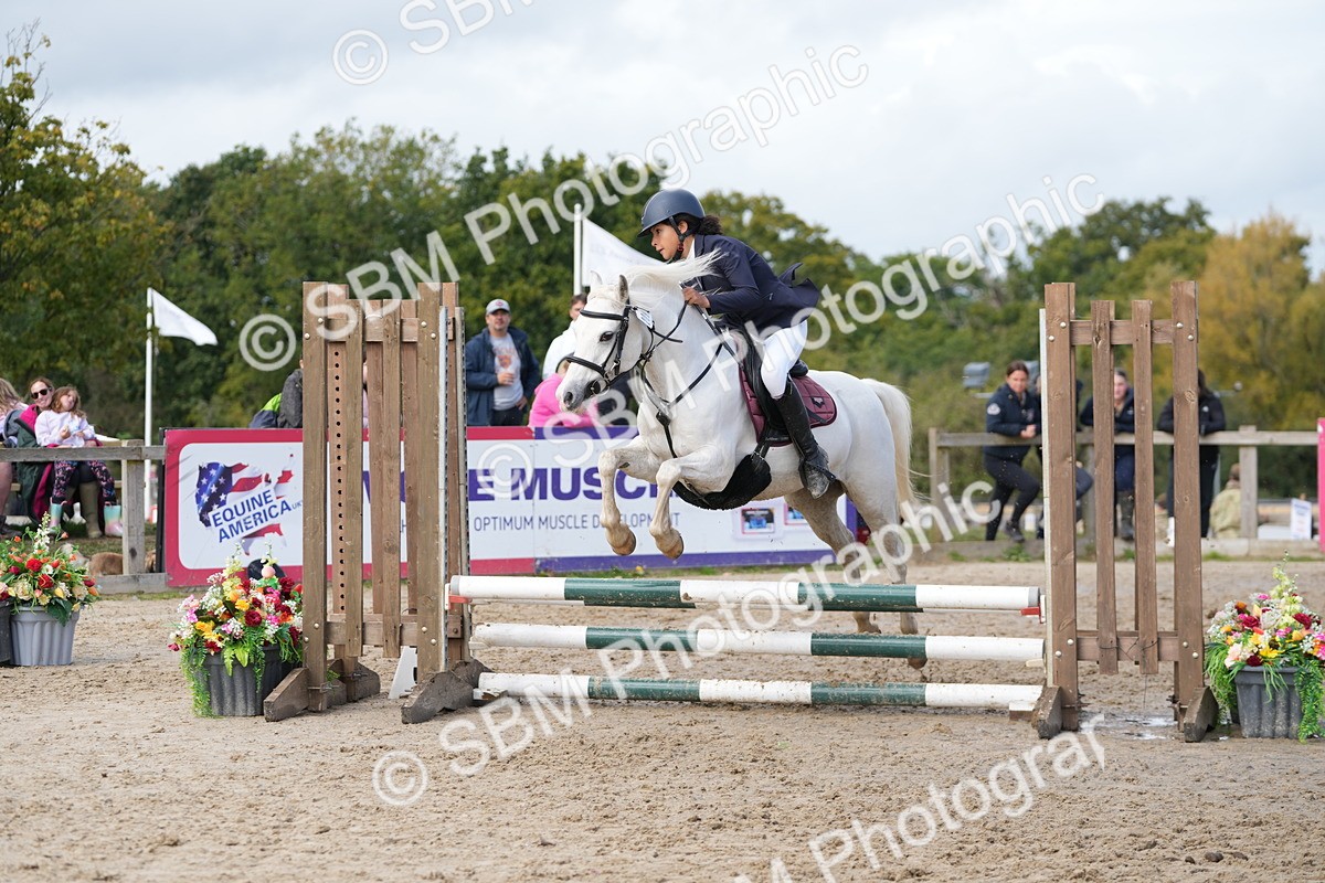 SBM_40807 - Supreme Championship Pony 50-55cm