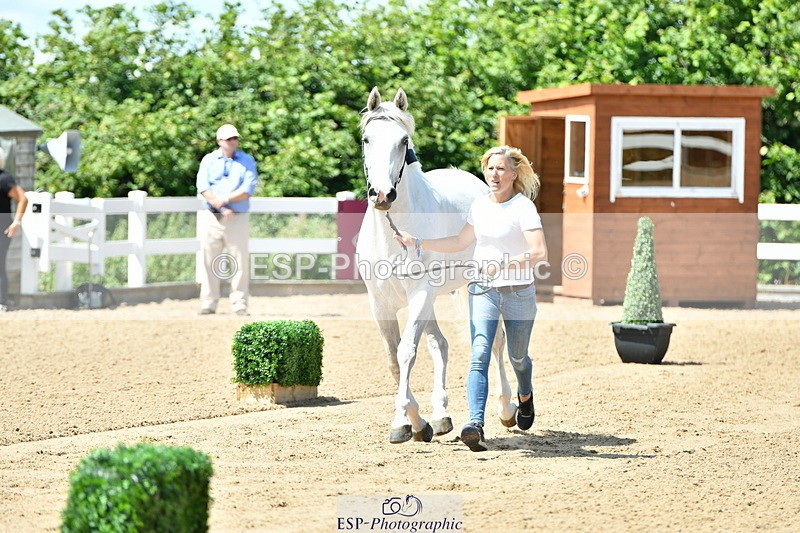 230719A-120719-00103 - Trot Up 12pm to 1pm