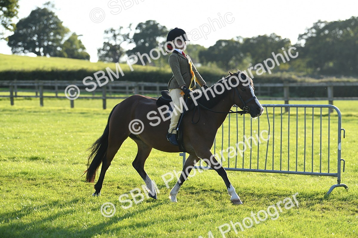 SBM_54227 - S23 - 1st Ridden Mountain & Moorland Pony