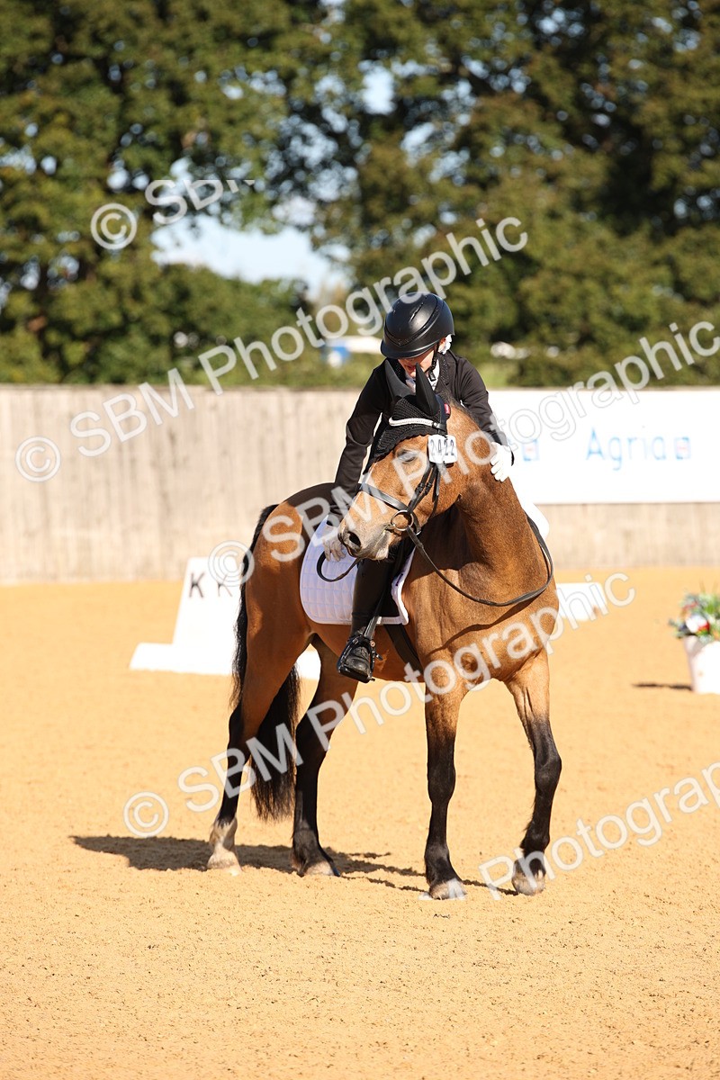 SBM_01901 - D2 Small Tour Championship Intro C