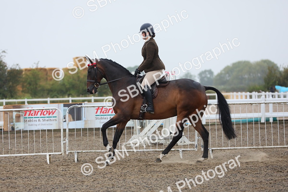 SBM_20024 - Class 802 - Ridden Groom - Helpers class
