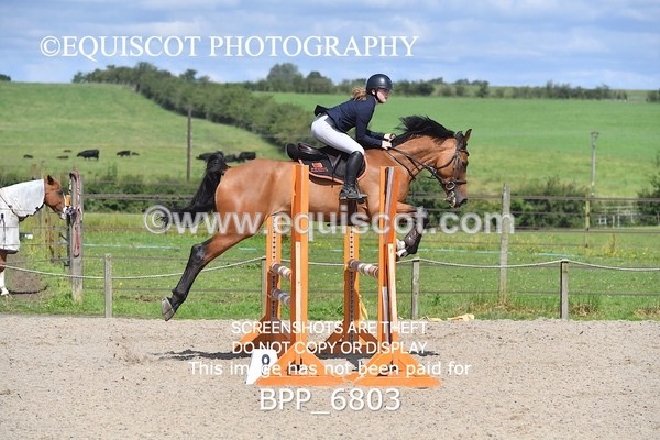 BPP_6803 - CLASS 4 Senior Discovery/ 1m Open