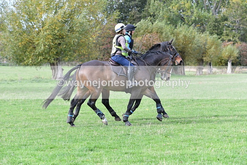 WJ5_0333 - Time 13:25 to 13:58