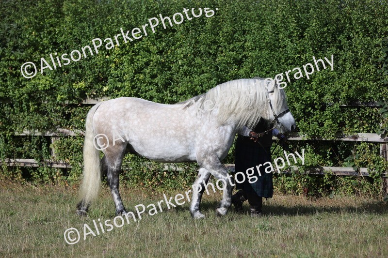 20250831-1292 - Class 21 - Inhand Open