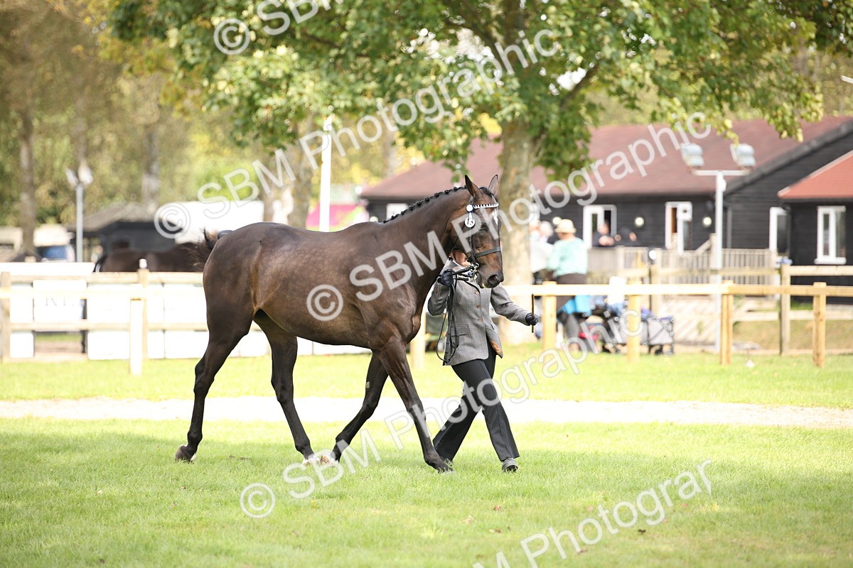 SBM_44465 - S24 - Young Veteran in hand