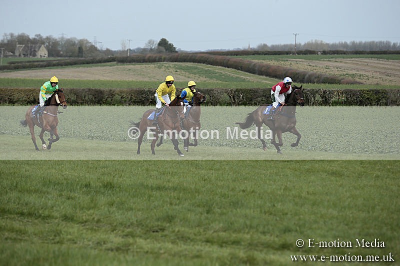 PtP 230319 10 - VWH Hunt Siddington Point-to-Point Racing 23/03/19