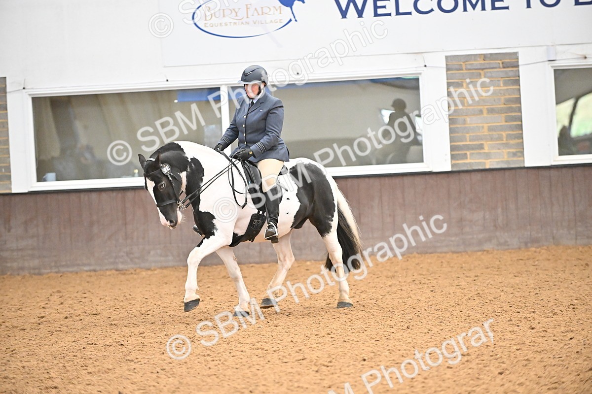 SBM_002649 - Class 28,29 - Ridden Irish & Coloured