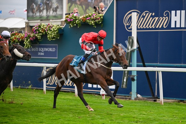 101025-Race 6-Dan Tucker-7090 - Race 6 Copper Knight Winning-Most Horse Handicap at York