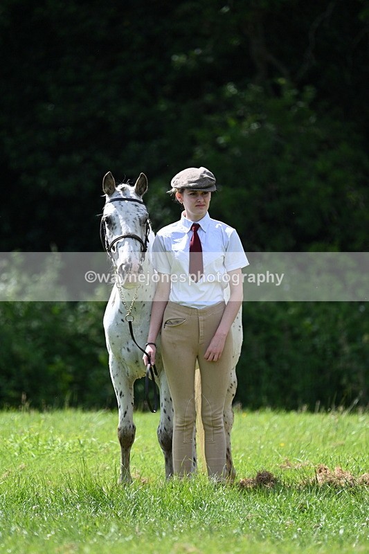 WJ7_1490 - Class 11 Condition & Turnout