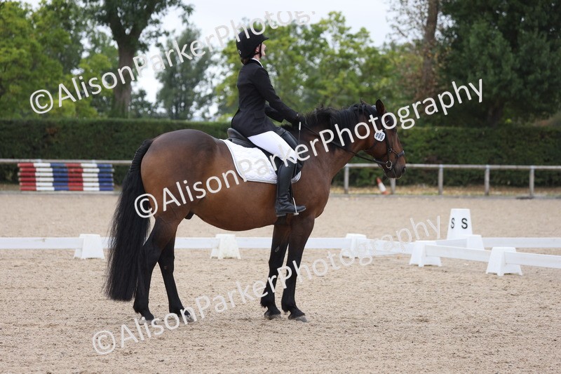 20250820-0359 - Class 11 - My Quest Novice 3