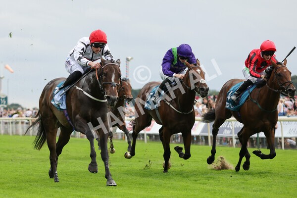 yr04092022r4-17 - Race 4 3.30pm Federation of Bloodstock Agents Nursery Handicap