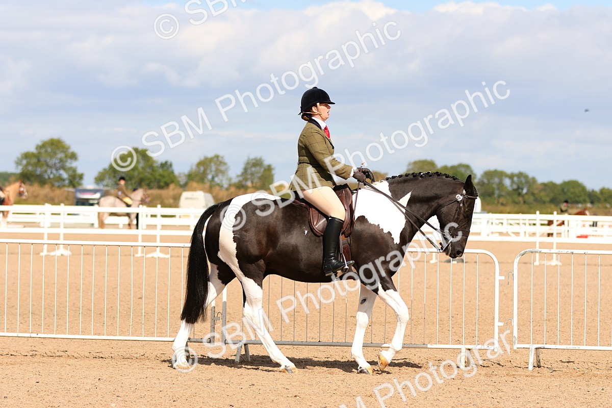 SBM_13452 - Class 212 - Ridden Hunter  - Large