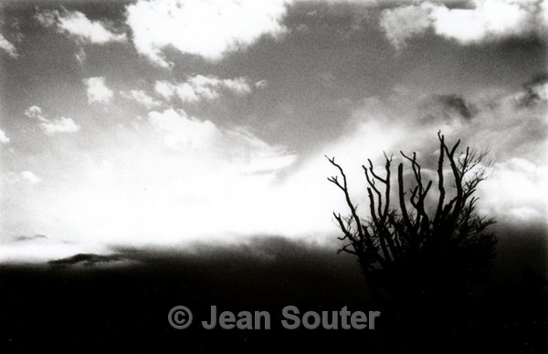 BW8 - Black & White