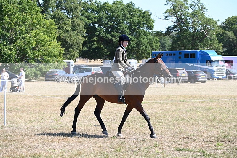 WJ6_8353 - Class 37a Best Loan Pony Ridden