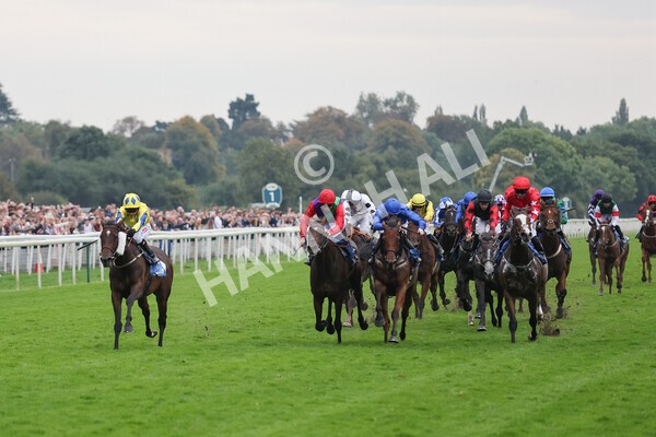 yr09102021r7-18 - Race 7 5.00pm Coral Proud Sponsors Of British Racing Finale Handicap