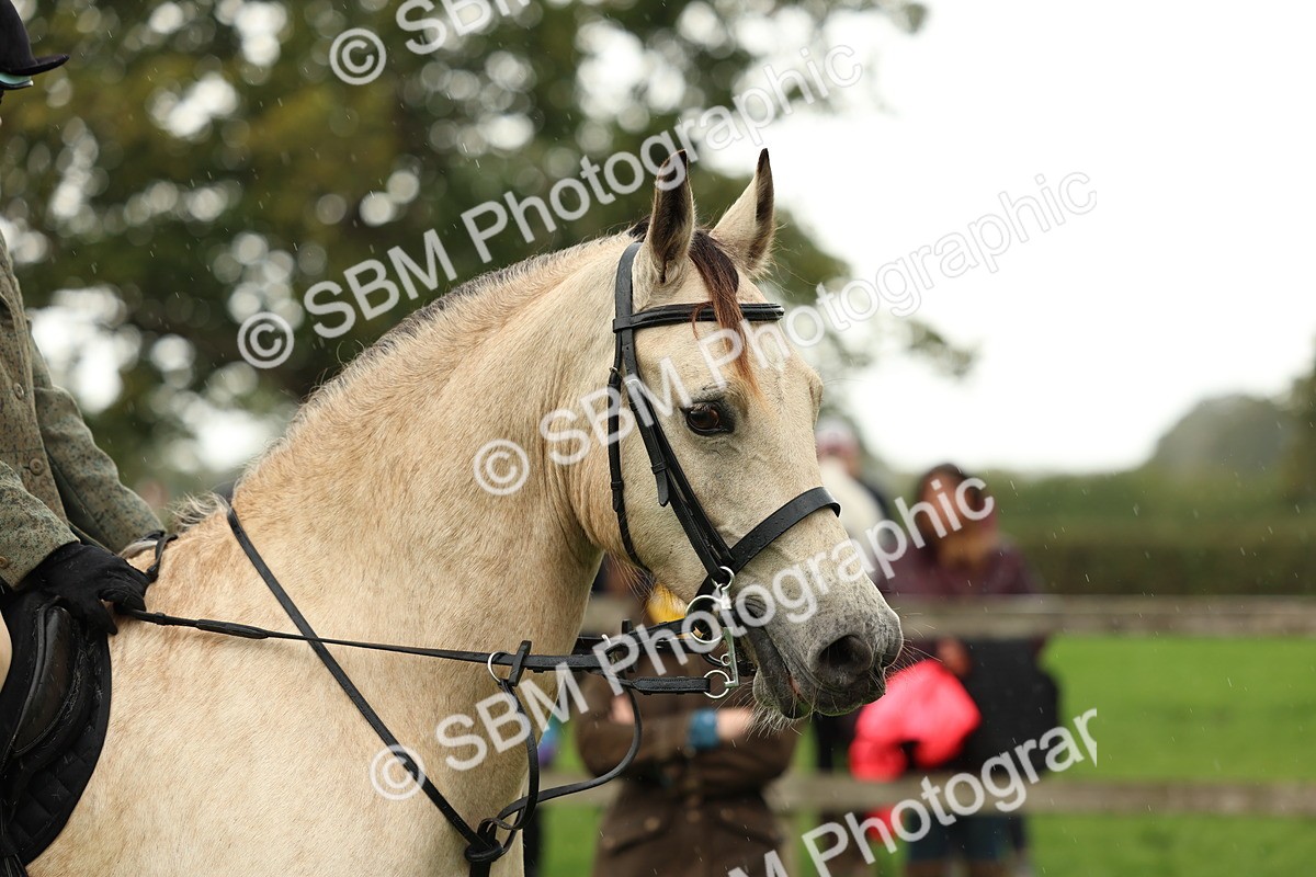 1I0A1493 - S32 - Mountain & Moorland Working Hunter Pony