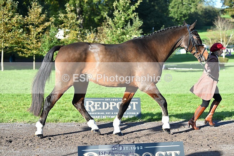 231022-102904-22510 - 500-HARLYN.CONNOR-Kerryann.Dunstan-TrotUp+SJ