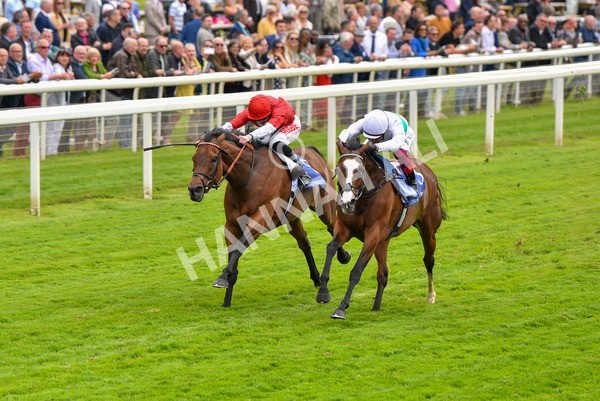 180523-Race 2-Free Wind-9560 - Race 2 2.25pm Al Basti Equiworld Dubai Middleton Fillies' Stakes