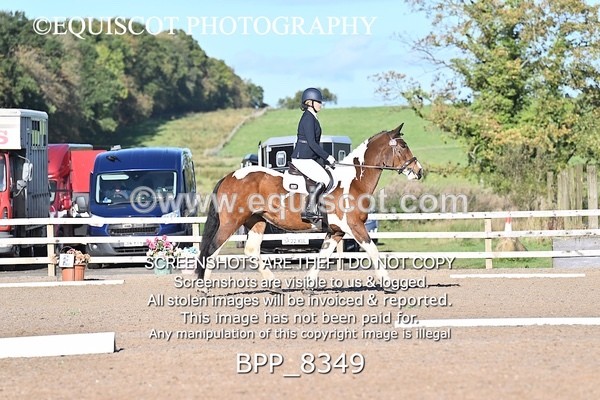 BPP_8349 - SHORT ARENA INTRO 1