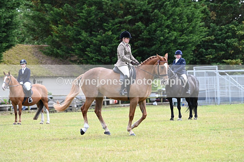 WJ7_9317 - Class 8 Ridden Veterans