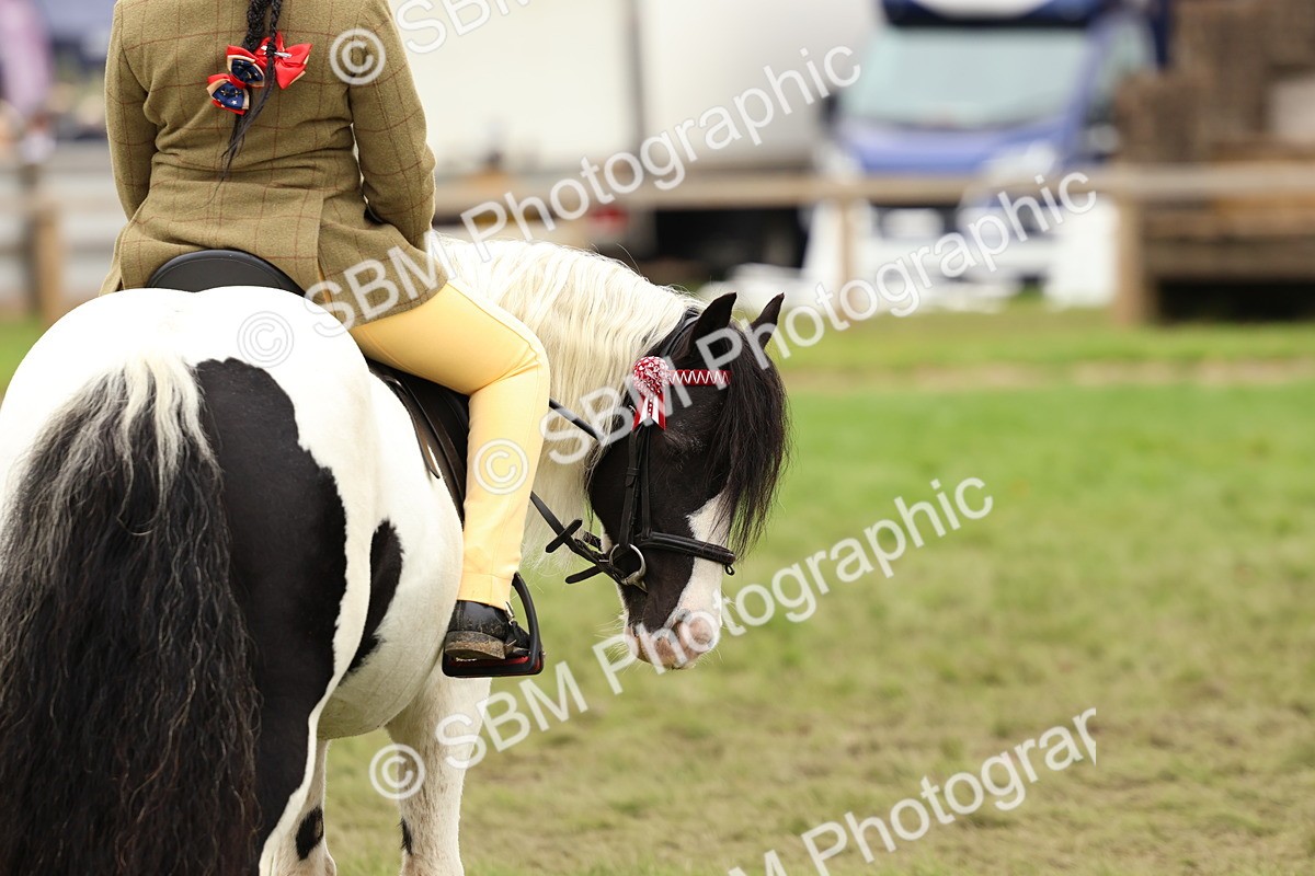 SBM_64651 - S58 - Coloured Pony Ridden