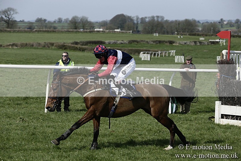 PtP 260317 9 - Mendip Farmers Point-to-Point Ston Easton 26/03/17