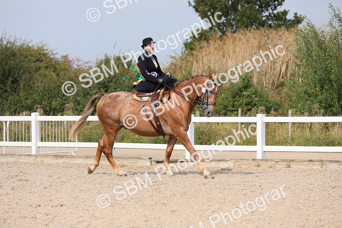 SBM_14643 - Class 211 Best Side Saddle Horse/Pony