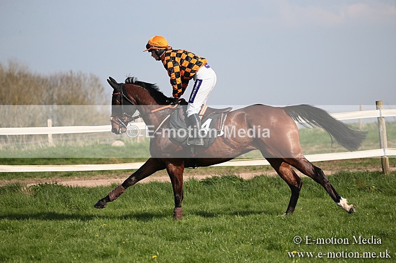 PtP 210418 482 - South & West Wilts Point-to-Point Larkhill 21/04/18