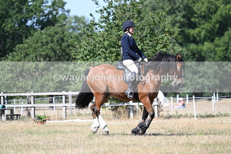 WJ7_0807 - Time 12:03 to 12:23