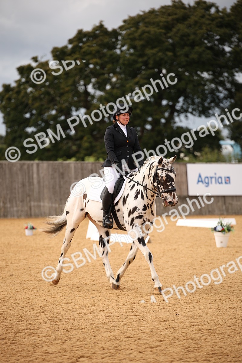 SBM_12289 - D3 Small  Tour Championship Intro A