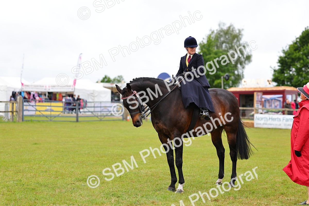 SBM_02824 - Class 9-11 Side Saddle including LIHS Rising Star Ladies Show Horse