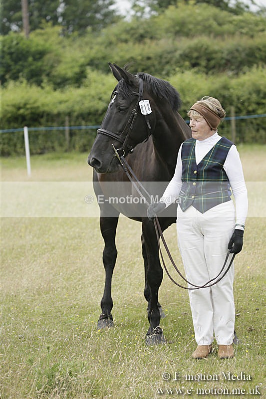 B230619-0581 - Bourne Valley Riding Club Summer Show 23/06/19