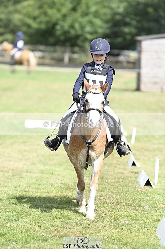 250821A-121057-15465 - DR 11.00 to 12.00