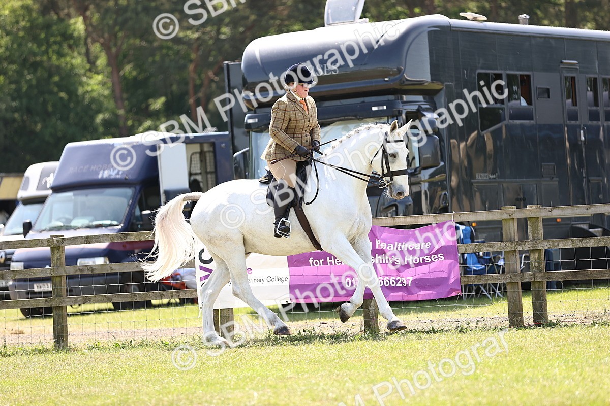 SBM_16218 - Class 79-80 - LIHS BSHA Rising Star Ridden Hunter