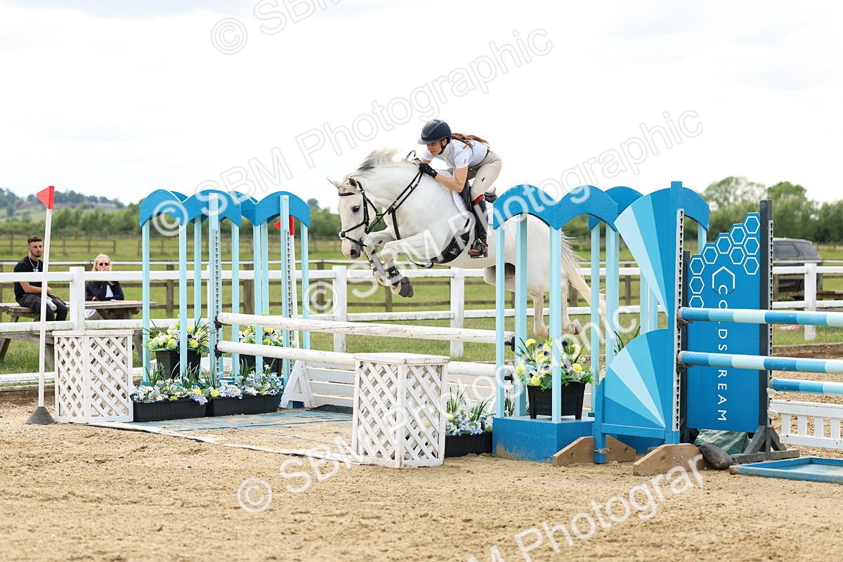 SBM_006083 - Class 19 - Senior Newcomers - 1.10m