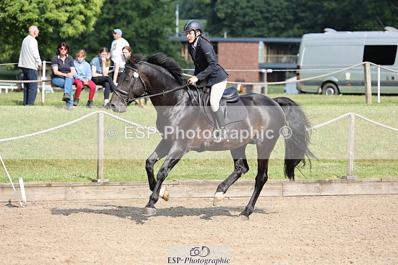 250614A-091956-04845 - Cls 25 85cm Amateur Quali