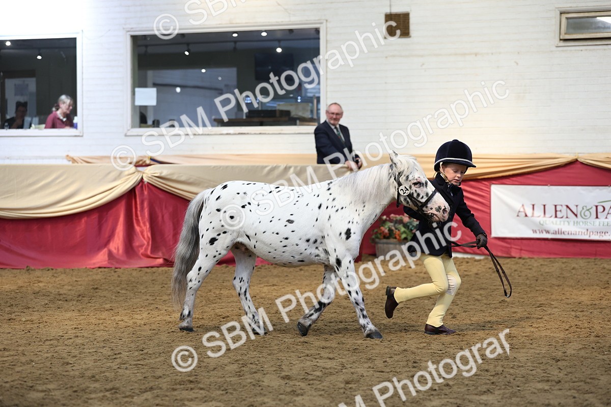 SBM_24113 - Class 905 - Supreme Final - Ridden Veteran