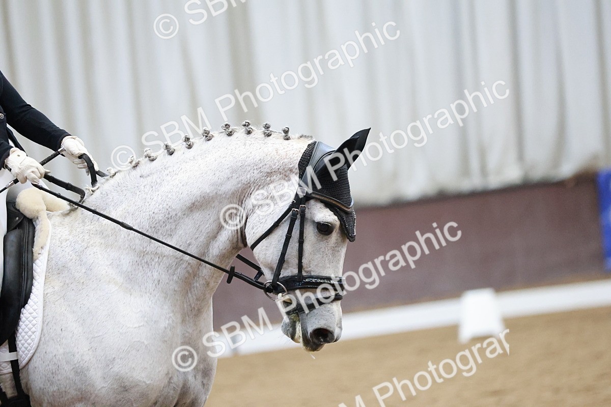 SBM_004544 - Ring 3 - International -  Working Hunter Classes 23-2-25