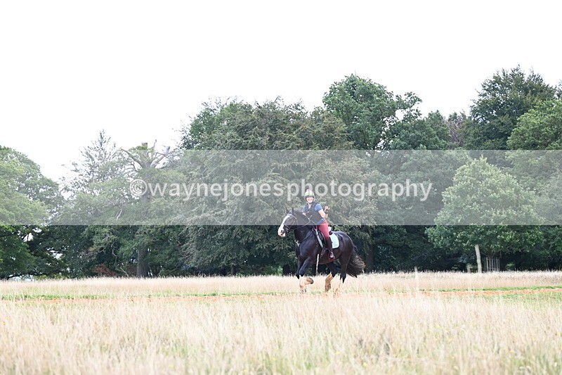 DSC_6520 - Time at Statue 12:45 to 13:15