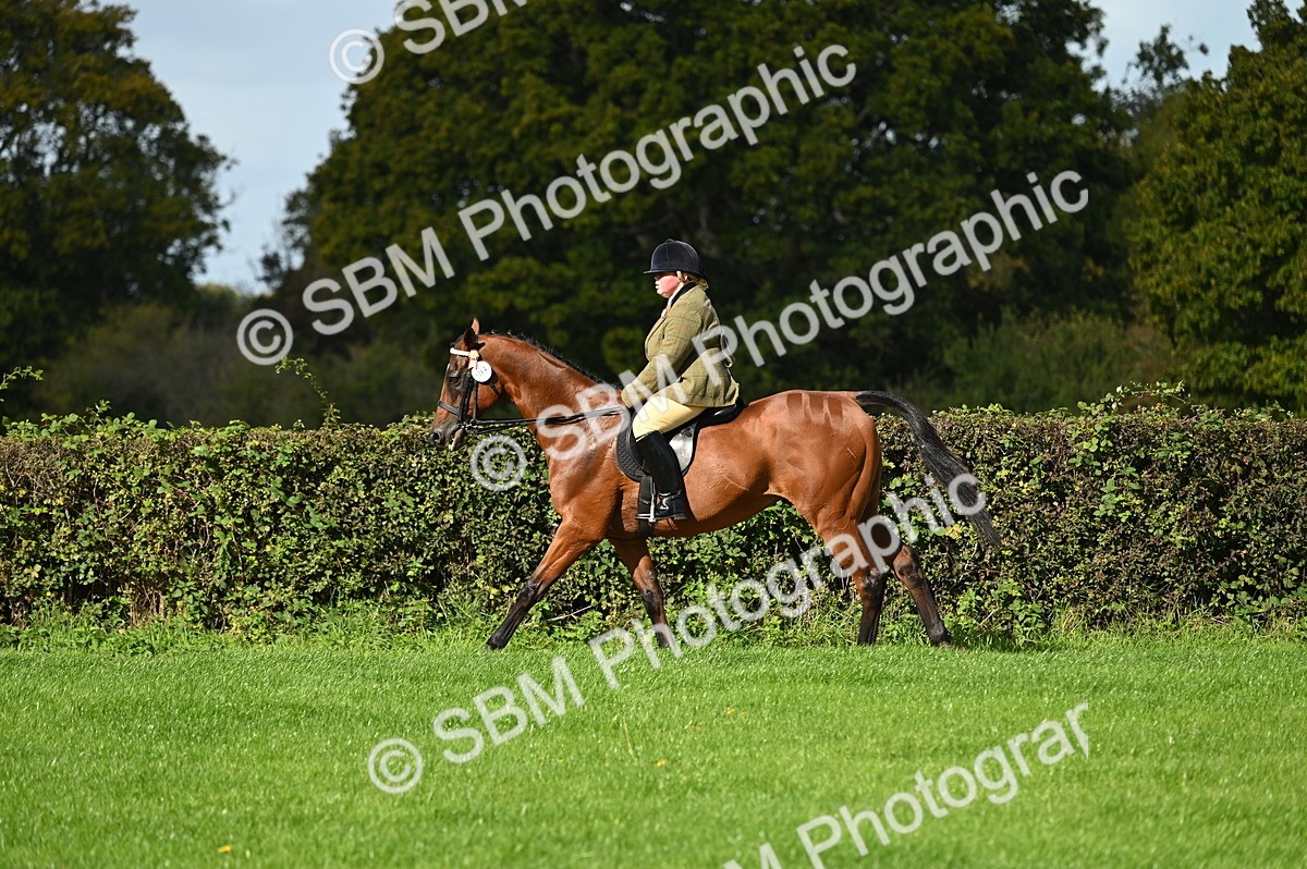SBM_01622 - S2 - TSR Ridden Horse Showing